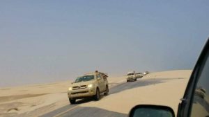 الأمارات تدفع بتعزيزات عسكرية إلى شبوة للسيطرة على حقوق النفط والغاز