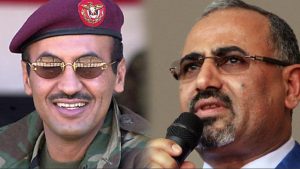 الجنوب اليوم يكشف تفاصيل لقاء سري جمع الزبيدي بأحمد علي صالح في أبو ظبي .