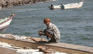 إتهامات دولية للإمارات بسرقة ثروة اليمن السمكية