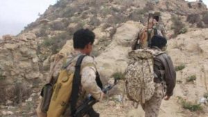 الحوثيين يسقطون جبل حلموس الواقع على حدود يافع .