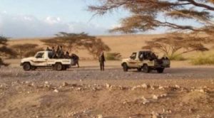 الجنوب اليوم ينشر الرويات الكاملة لجريمة قتل الشاب المهري مانع قميصت في أبين