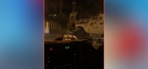 تعزيزات عسكرية لمساندة ألوية الحماية الرئاسية لمواجهة الانتقالي