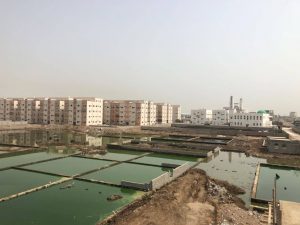 عشرات المباني في مدينة عدن محاطة ببحر من مياه الصرف الصحي (صور)