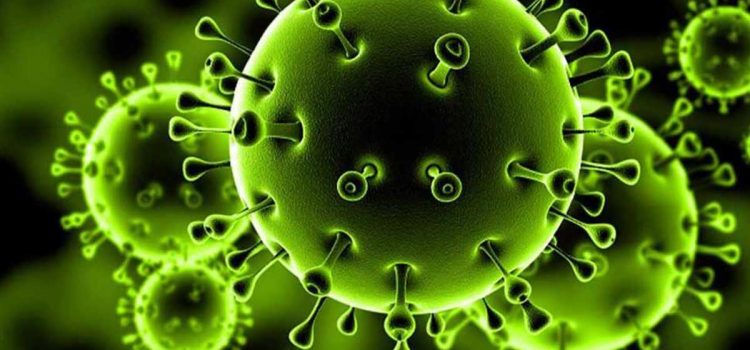 عدن : 93 حالة إصابة ووفاة جديدة بفيروس كورونا