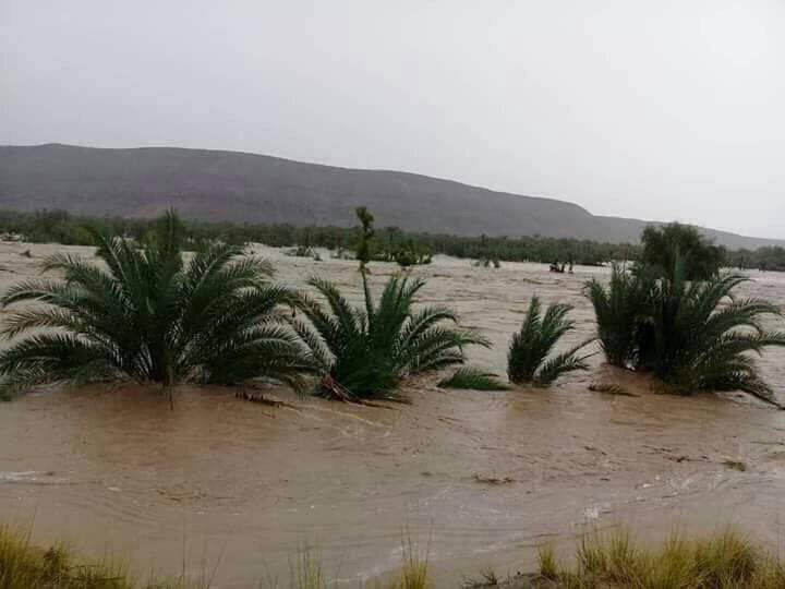 سيول الامطار تشرد عشرات الاسر وتتسبب باضرار فادحة بحضرموت