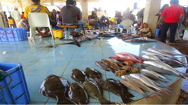 عدن : حصار القوات الإماراتية للصيادين أدى إلى ارتفاع جنوني في أسعار الأسماك
