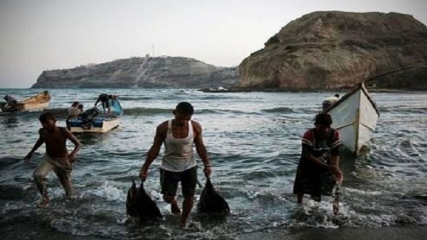 التحالف وحكومة المناصفة يفاقمون معاناة الصياديين في المهرة