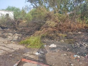 عدن .. حريق مجهول المصدر في محمية الحسوة الطبيعية بالبريقة