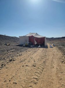 شبوة .. قبائل خليفة تواصل اعتصامها للمطالبة بخروج قوات العمالقة من أراضيها الزراعية